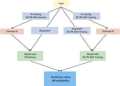 The implementation of NILS: A web-based artificial neural network decision support tool for noninvasive lymph node staging in breast cancer